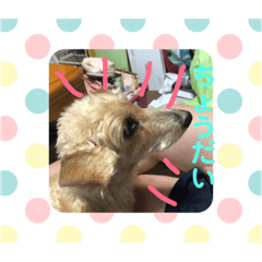 [LINEスタンプ] ぎずもすたんぷ