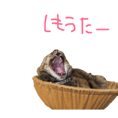 [LINEスタンプ] むぎちゃんとしおちゃん