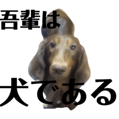 [LINEスタンプ] 私がココアさんだ