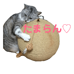 [LINEスタンプ] カリンの日常
