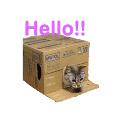 [LINEスタンプ] kazuneeeの作るsuzuスタンプ