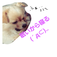 [LINEスタンプ] ちょこちゃんですよ