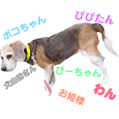 [LINEスタンプ] びびたんすたんぷ