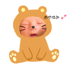 [LINEスタンプ] こちゃスタンプ