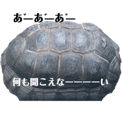 [LINEスタンプ] イキモノ色々