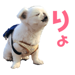 [LINEスタンプ] メロちゃんスタンプ第一弾