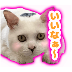 [LINEスタンプ] てつ vol.3