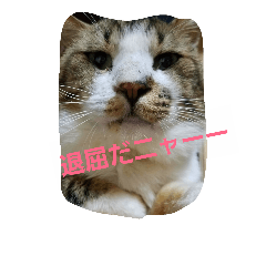[LINEスタンプ] ブチのSTAMP