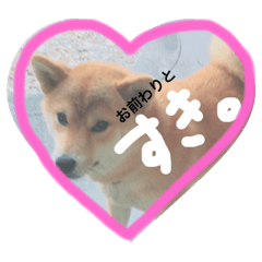 [LINEスタンプ] 毎日ミミ