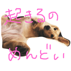 [LINEスタンプ] パールとムギ