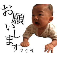 [LINEスタンプ] ときどきおいち