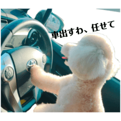 [LINEスタンプ] 規格外の2匹