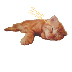 [LINEスタンプ] ぐくちゃんといっしょ