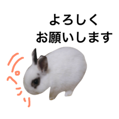 [LINEスタンプ] ポン•サク•プー