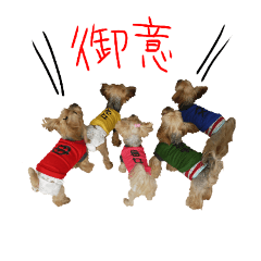 [LINEスタンプ] ヨーキーな仲間達part2(写真ver)