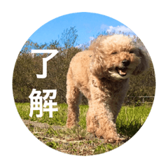 [LINEスタンプ] ひーちゃんとさっく
