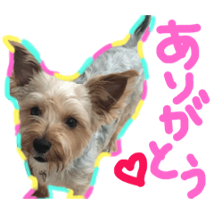 [LINEスタンプ] よーきーのわさび第四弾！