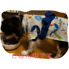 [LINEスタンプ] ここ1歳