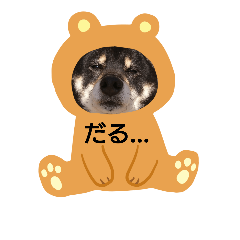 [LINEスタンプ] 黒柴あんちゃん
