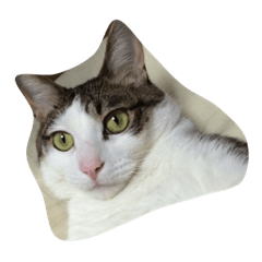 [LINEスタンプ] 我が家のおての日常。