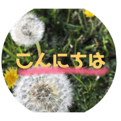 [LINEスタンプ] ありがとおはな