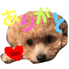 [LINEスタンプ] ルアナちゃん
