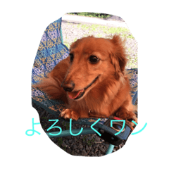[LINEスタンプ] かわいいチャッピー