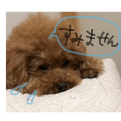 [LINEスタンプ] もきゅんのあいさつ