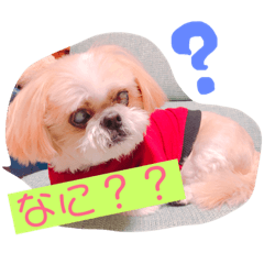 [LINEスタンプ] えっくんすたんぷ