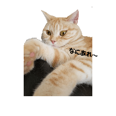 [LINEスタンプ] ラブにゃんの日常1