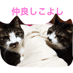 [LINEスタンプ] チッチとポッポ
