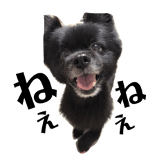 [LINEスタンプ] ロイすたんぷ