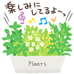 [LINEスタンプ] 観葉植物スタンプ