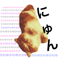 [LINEスタンプ] 近藤家2