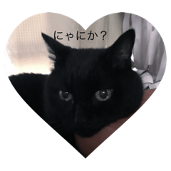 [LINEスタンプ] イケ猫クウチの可愛いスタンプ