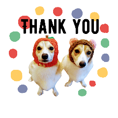 [LINEスタンプ] コーギー＆ホワイトシェパードの巻