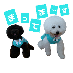 [LINEスタンプ] 凸凹ブラザーズ