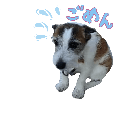 [LINEスタンプ] ぶち犬に愛を