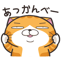 [LINEスタンプ] 動く！ランラン猫 (Japanese ver.)