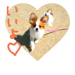 [LINEスタンプ] ちこちこフォト