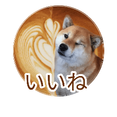[LINEスタンプ] まったり柴犬スタンプ第2だん