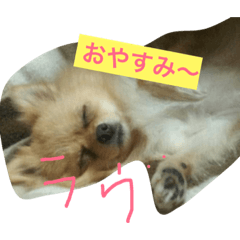 [LINEスタンプ] ラヴちゃん1