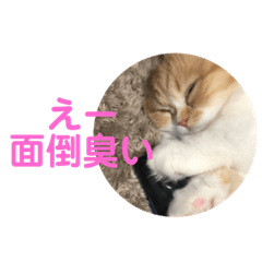 [LINEスタンプ] vivi＆coco