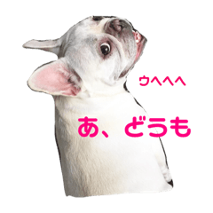 [LINEスタンプ] 生意気ハナさん