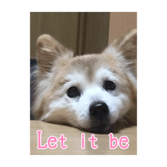 [LINEスタンプ] ファンキーモンキーモンキー