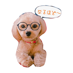 [LINEスタンプ] マルプー おもちくん