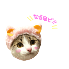 [LINEスタンプ] めろみる ❤︎ 1