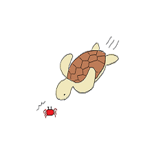 [LINEスタンプ] ウミガメのスタンプ