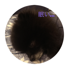 [LINEスタンプ] ぽんぽんP