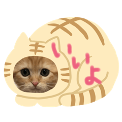 [LINEスタンプ] きゃらめるち